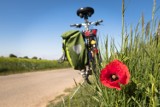 Powstanie blisko kilometr ścieżki rowerowej w Skokach 