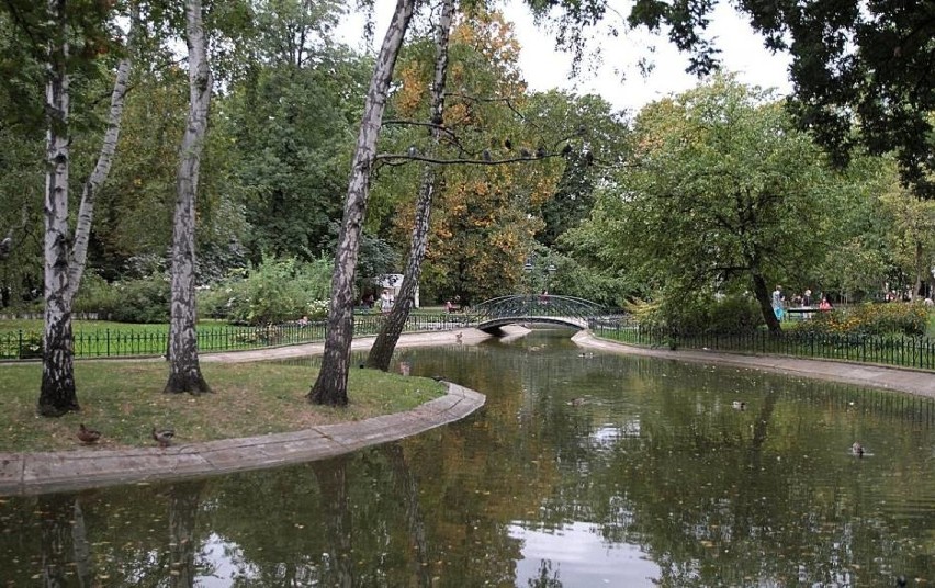 Planty powinny żyć. Więcej ogródków?  