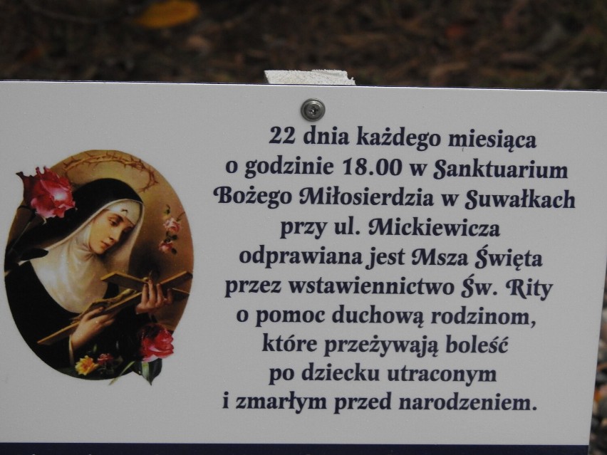 Pogrzeb dzieci martwo urodzonych w Suwałkach. Trzydzieścioro dzieci spoczęło w jednym grobie [Zdjęcia]