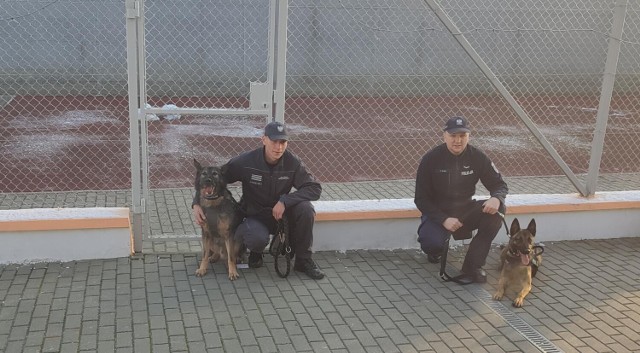 15 grudnia br. odbyło się szkolenie z udziałem przewodników psów ze starogardzkiej służby więziennej oraz Komendy Powiatowej Policji w Starogardzie Gdańskim.