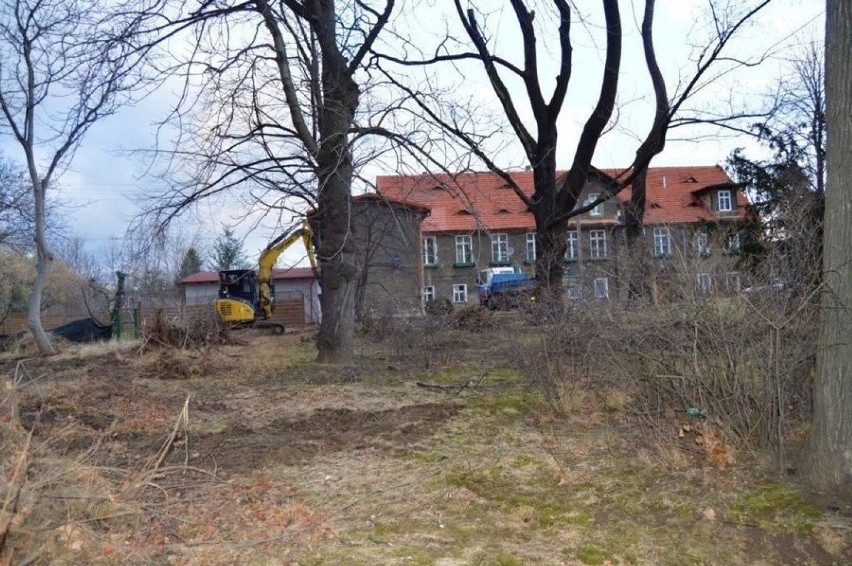 Świebodzice: porządkują park przy ul. Łącznej. Będzie ładne, zielone miejsce (ZDJĘCIA) 