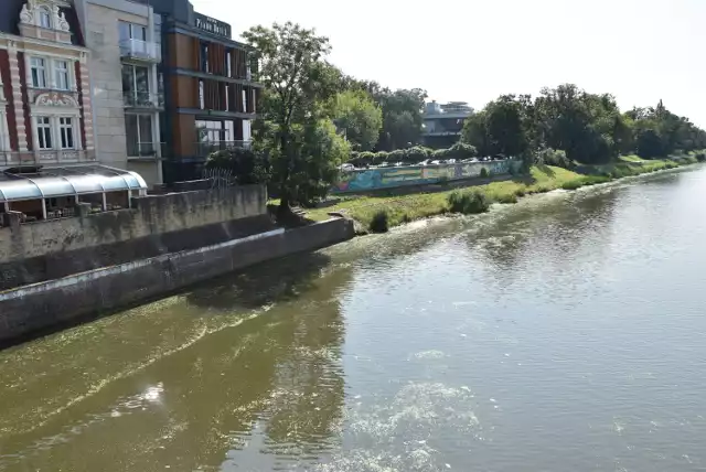 Od kilku dni Odra w Opolu miejscami przybrała zielony kolor. Instytucje odpowiedzialne za stan rzeki uspokajają, że to zakwit zielenic i nie ma powodów do niepokoju.