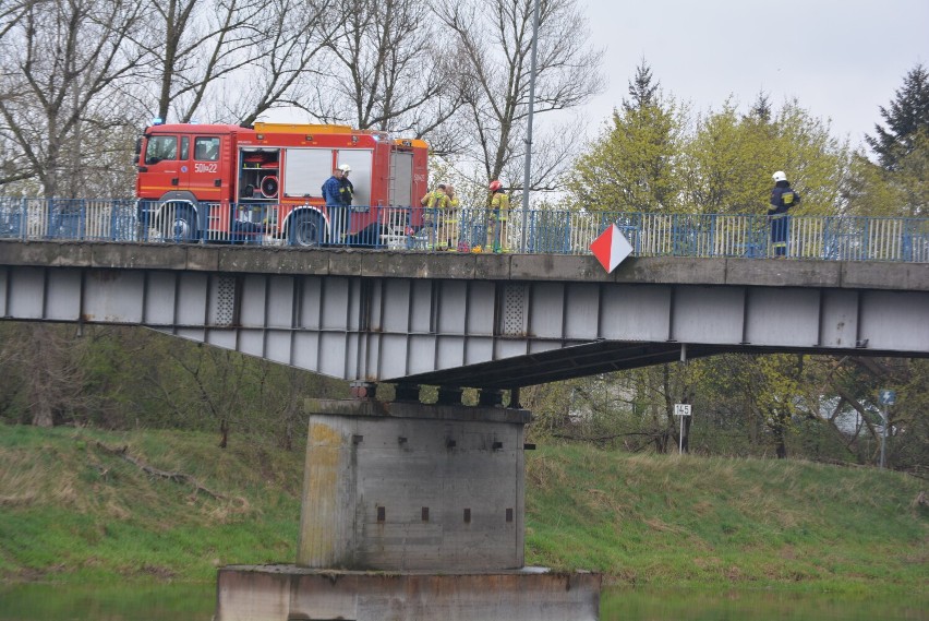 Strażacy ratowali... kota! Zwierzak utknął na filarze mostu...