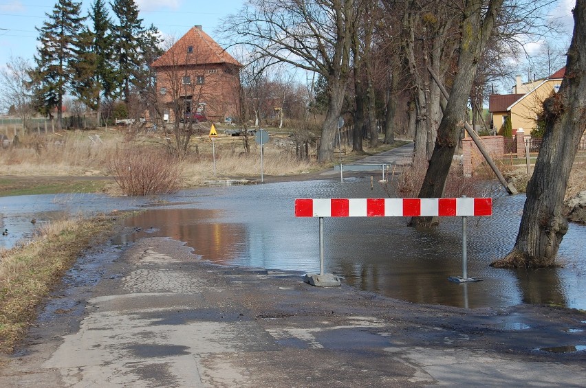 Kochanowskiego znów zamknięta!