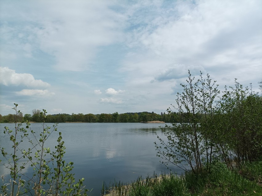 Podgórzyńskie stawy i Aquakultura. Zobaczcie, jak tam pięknie!