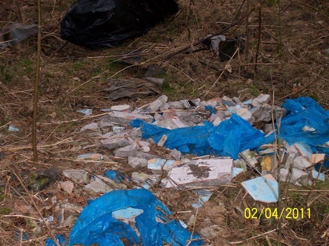 Katowice: Dzikie wysypiska śmieci w Panewnikach [ZDJĘCIA]