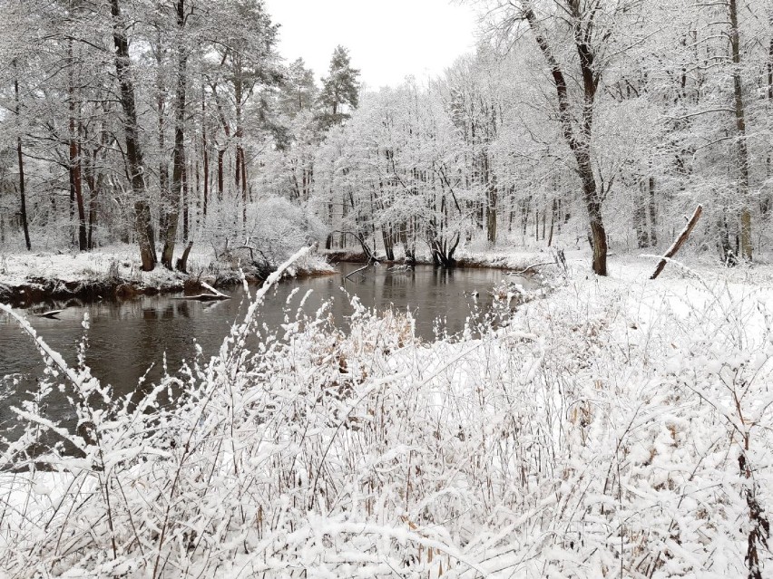 Bajeczne widoki nad Iną powyżej Goleniowa. Śnieżna zima to jest to!