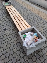 Kraków. W donicach w centrum miasta zakwitły... śmieci