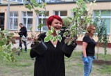 Posadzili kilkadziesiąt krzewów i drzew z Dominikiem Strzelcem! 