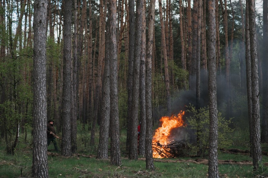 Ćwiczenia taktyczno- bojowe strażaków z powiatu Obornickiego. Symulowany pożar lasu w Obornikach