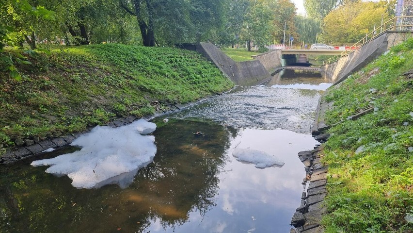 Piana na wodach Silnicy w Kielcach unosi się kolejny dzień. Sprawca przyłapany na gorącym uczynku!