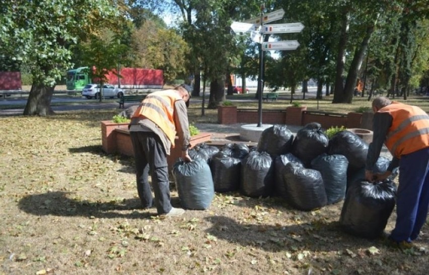 Sprzątanie świata w Malborku. Osadzeni porządkowali teren w okolicy urzędu
