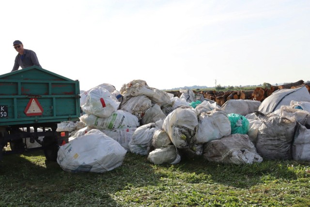 Wielkie sprzątanie pól w Grębocicach