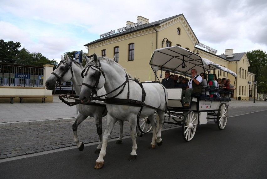 Bryczką po Trakcie Wielu Kultur w Piotrkowie