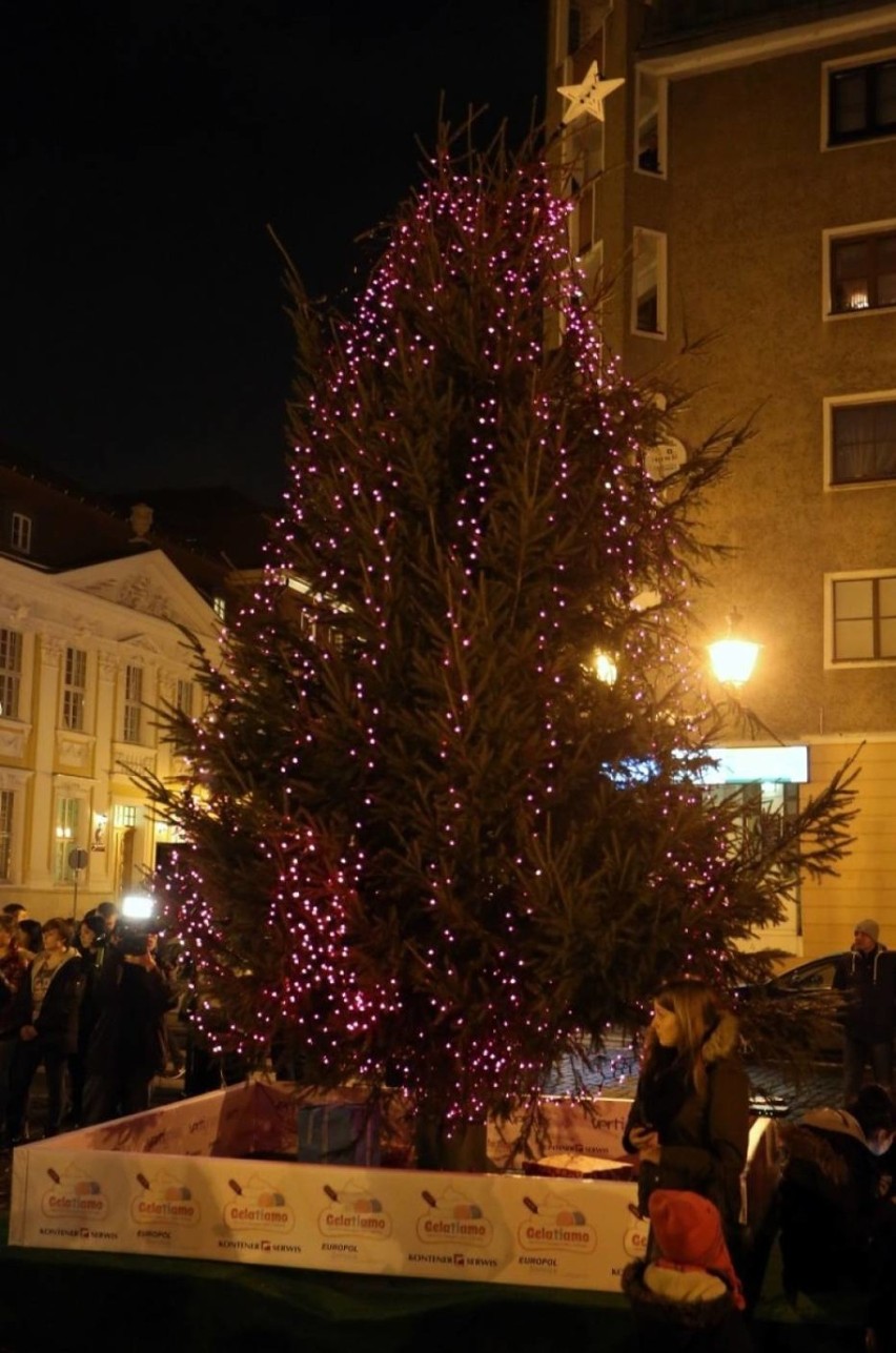Iluminacje i ozdoby świąteczne w Szczecinie