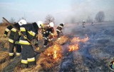 Pożar w Wodzisławiu Śl. Strażacy gasili ściernisko i bale słomy