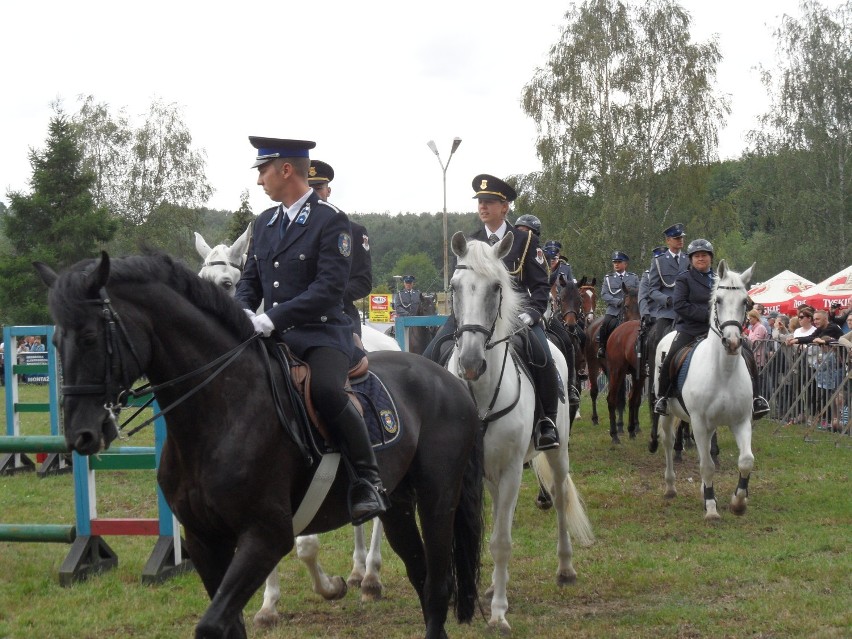 Policjanci rywalizowali na koniach ZDJĘCIA