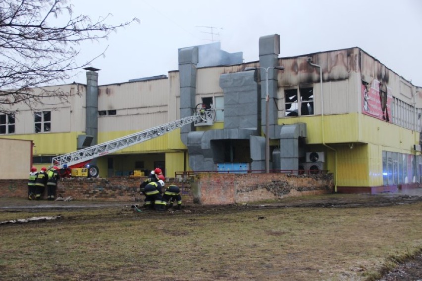 Pożar Retmana w Tczewie! Trwa akcja strażaków [WIDEO, ZDJĘCIA]