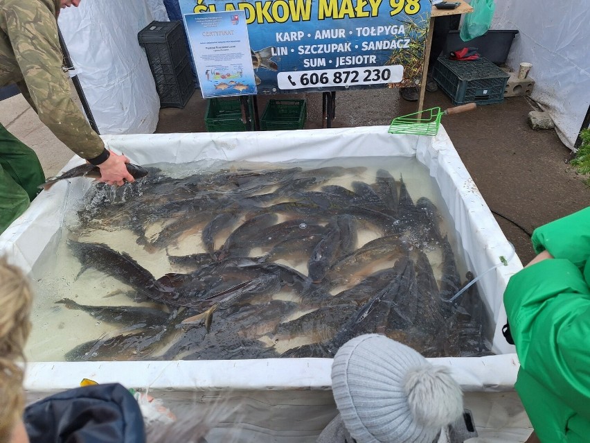 Żywe karpie i inne ryby na kieleckich bazarach. Jakie były...