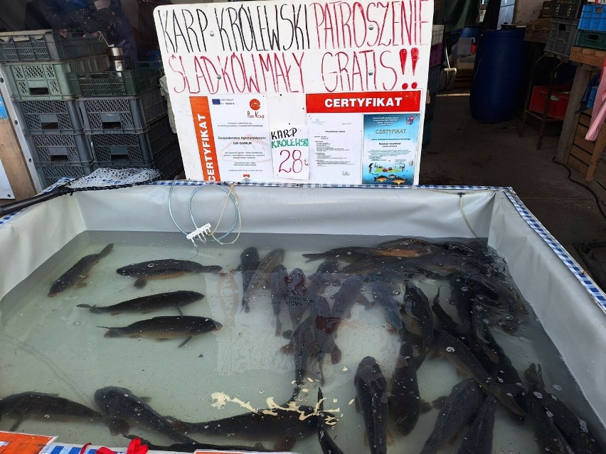 Żywe karpie i inne ryby na bazarach w Kielcach tuż przed Bożym Narodzeniem. Jakie ceny we worek 19 grudnia?