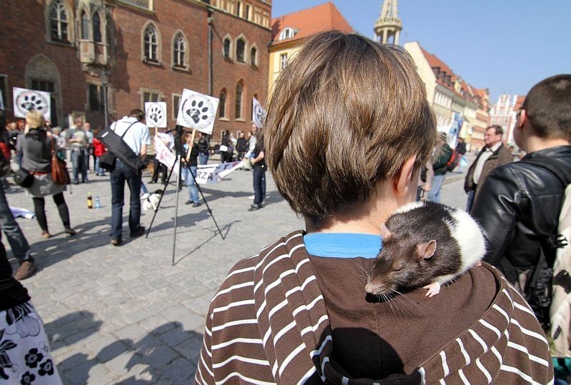 Wrocław: Przez Rynek przeszedł marsz obrońców praw zwierząt