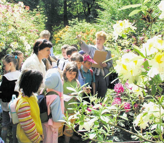 Arboretum w Rogowie to nie oryginalne gatunki roślin, ale i miejsce do dobrej zabawy