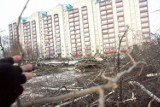 Wycinka drzew przy ul. Walecznych: Miasto zgłosi sprawę do prokuratury