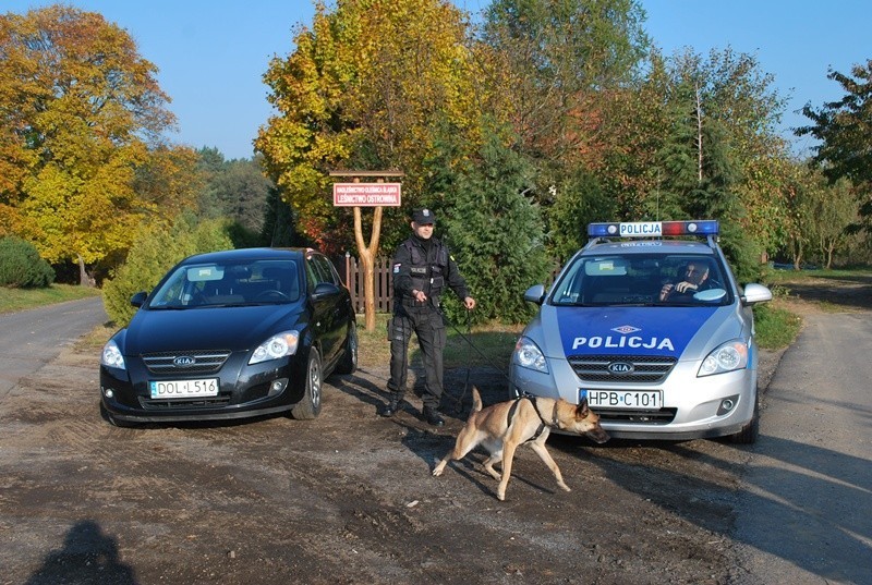 Powiat oleśnicki: Zatrzymali sprawcę napadu