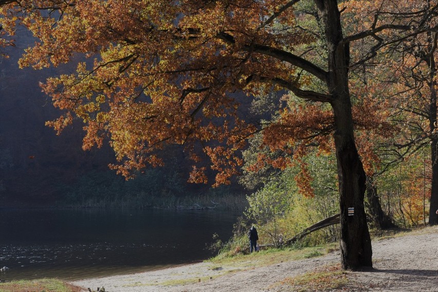 Jezioro Otomińskie zachwyca o każdej porze roku. Jesienią warto wybrać się tam na spacer! Zdjęcia