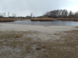 SUSZA 2020. Pogoda w Polsce w kwietniu. Brak deszczu gleba jest jak pył, panuje już wiosenna susza 