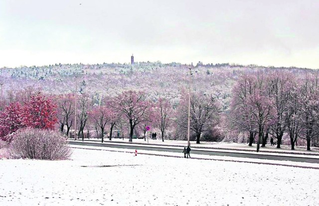 Zwycięskie zdjęcie Adama Koniecznego