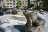 Legendarne kamienne żabki powróciły na Muranów. Ozdobiły fontannę na zacisznym podwórku przy ulicy Nowolipie
