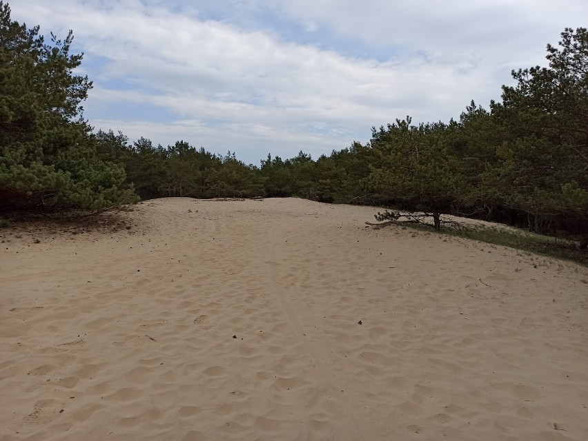 Piasek jak na nadmorskiej plaży w Koninie? To możliwe. Tuż...