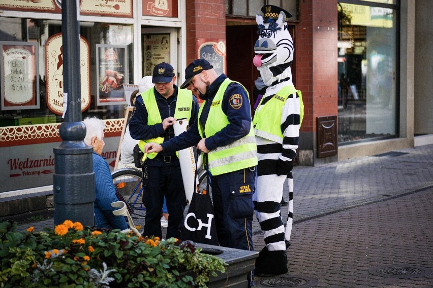 Akcja strażników miejskich w Chorzowie