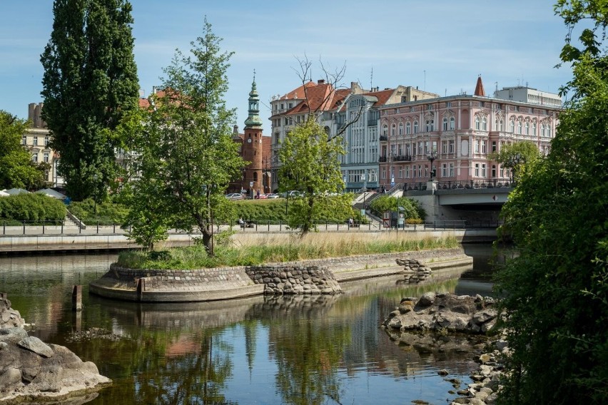 Tak obecnie wygląda wyspa św. Barbary, drzewa mają na nią...