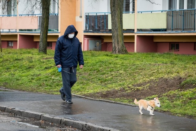 Czy można wyjść na spacer? - zastanawiają się Polacy po wprowadzeniu przez rząd ograniczeń w przemieszczaniu się.