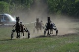 Trzy osoby ranne w wyścigach konnych na wolbromskich błoniach [ZDJĘCIA]