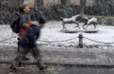 Wielki Piątek: Intensywne opady śniegu w Wielkopolsce