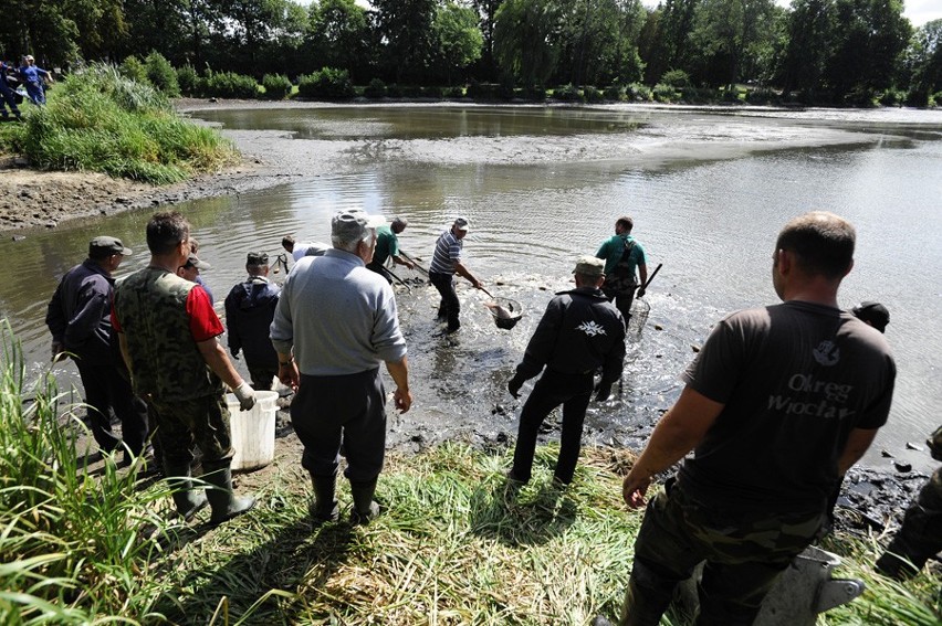 Oleśnica: Gigantyczne ryby w stawie (ZDJĘCIA)