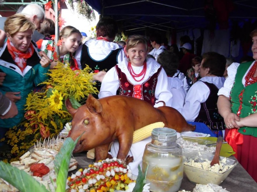 Dożynki gminne Rajcza 2014. Zobacz zdjęcia...