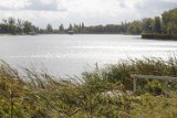  Wody Polskie przedstawiły plan rewitalizacji Jeziora Średzkiego. Jakie prace będą wykonane?