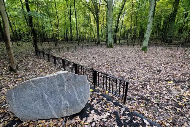 Nowe pole urnowe na poznańskim Miłostowie sprawia wrażenie, jakby prochy zostały rozsypane w lesie. Zmarli są chowani w biodegradowalnych urnach