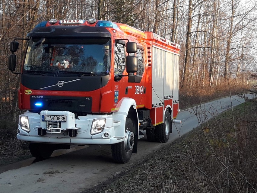 Pożar samochodu w Olszynach w gminie Rzepiennik Strzyżewski. Pojazd niemal całkowicie spłonął [ZDJĘCIA]