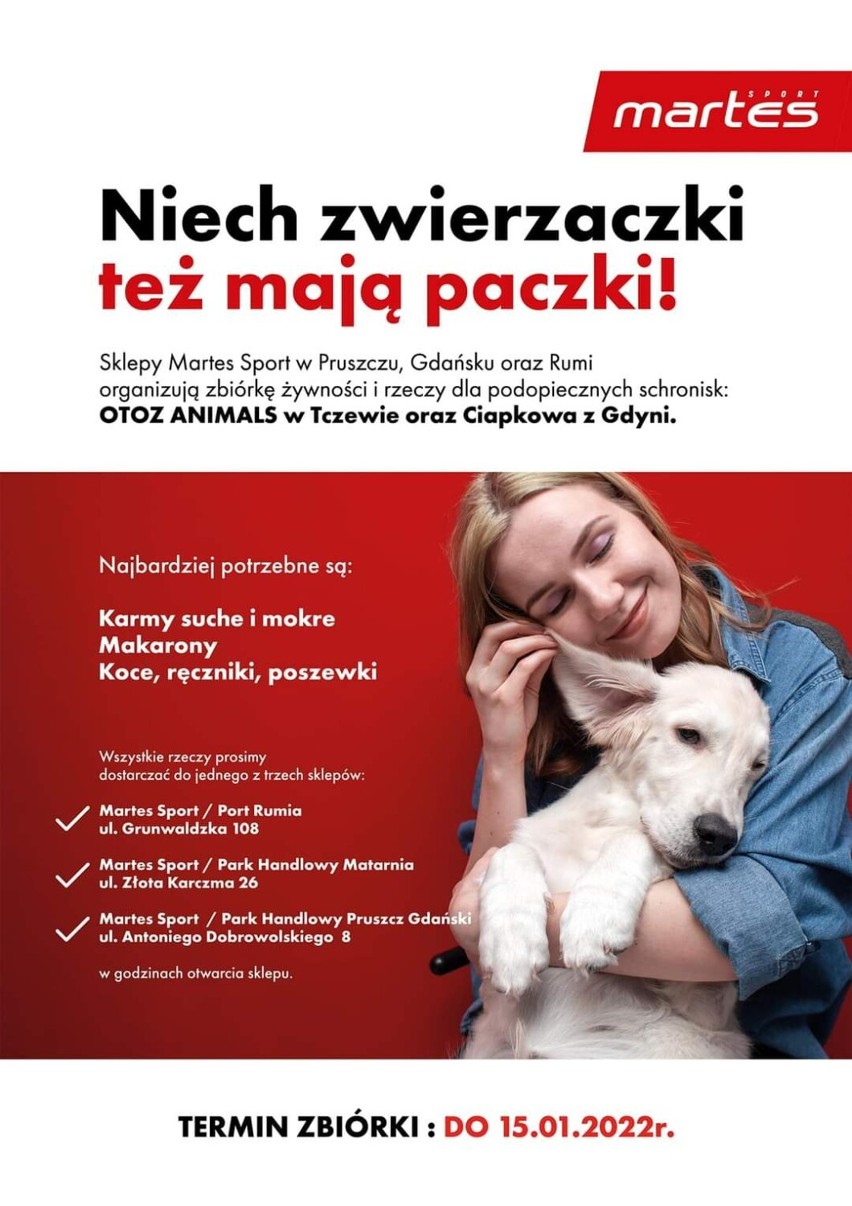Paczki dla zwierzaków w Pruszczu! Zobacz gdzie możesz wspomóc czworonogów