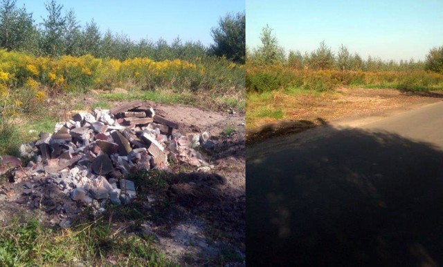 Dzikie wysypisko przy ul. Roślinnej