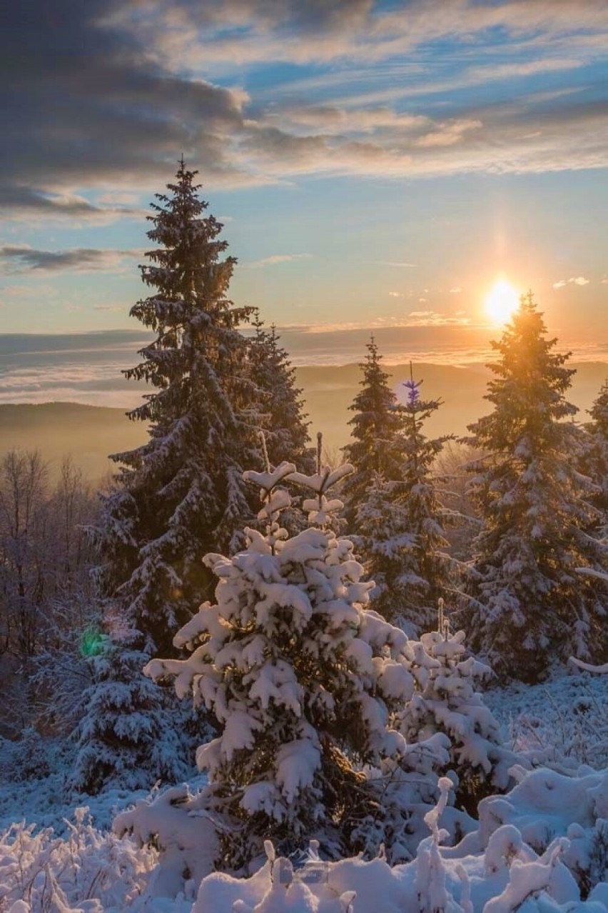 Jaworzyna Krynicka. Nie ma jak zima w górach. Bajkowe widoki z panoramą Tatr. Zobacz zdjęcia