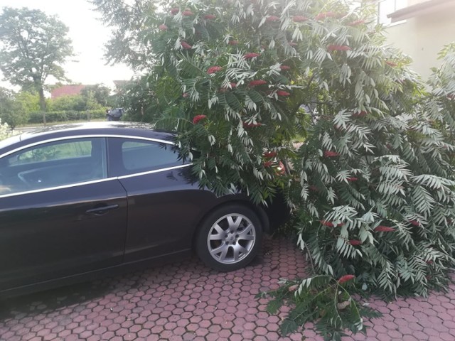 Opadom towarzyszyć będą porywy wiatru do 120 km/h