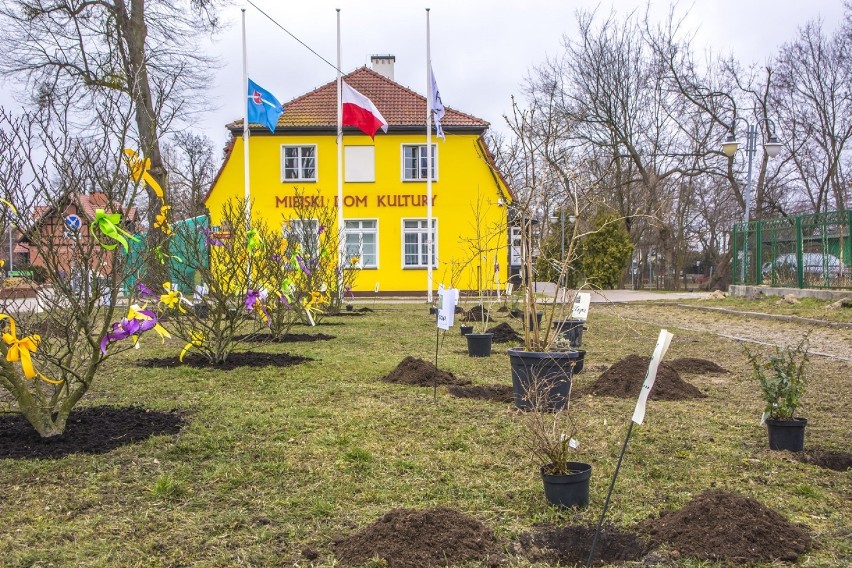 Przedszkole Iskierka w Rumi powitało wiosnę sadząc krzewy