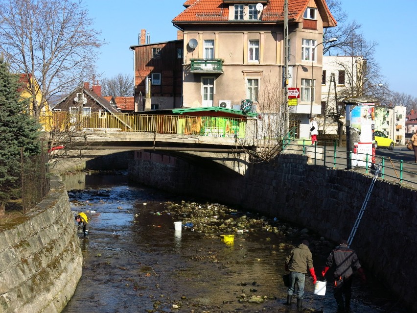 Mieszkańcy Sobieszowa sprzątają rzekę Wrzosówkę. Akcję...