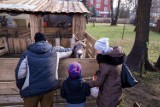 Najpiękniejsze szopki bożonarodzeniowe 2017 roku. Za to kochamy Święta! [ZDJĘCIA]